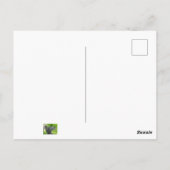 リス ポストカード (裏面)