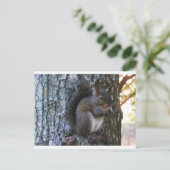 リス ポストカード (スタンド正面)