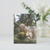 リス ポストカード (スタンド正面)