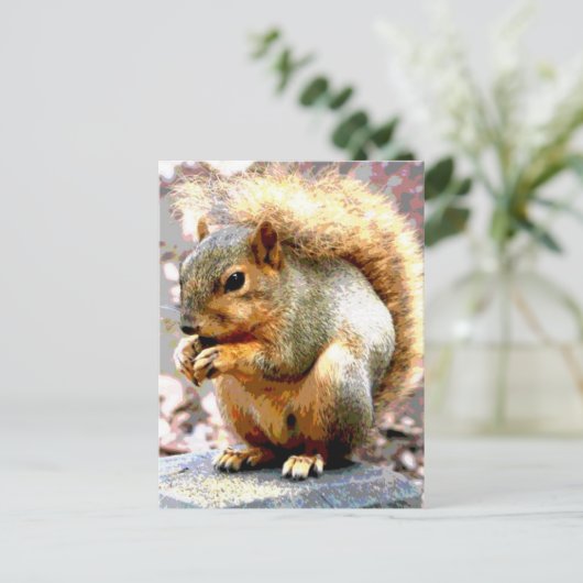 リス ポストカード (スタンド正面)