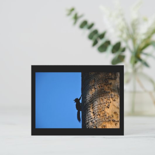 リス ポストカード (スタンド正面)