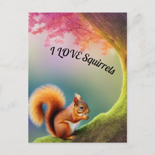 リス ポストカード (正面)