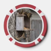 リス ポーカーチップ (裏面)