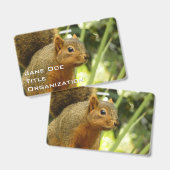 リス ポートレート 自然 動物 写真 バッジ (正面＆裏面)