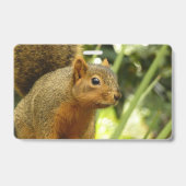 リス ポートレート 自然 動物 写真 バッジ (裏面)