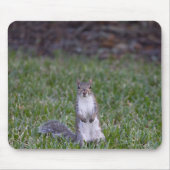 リス マウスパッド (正面)