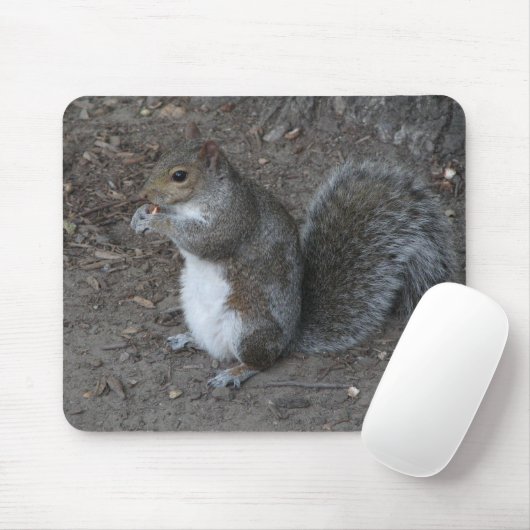 リス マウスパッド (マウス)