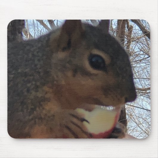リス マウスパッド (正面)