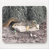 リス マウスパッド (正面)