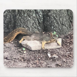 リス マウスパッド