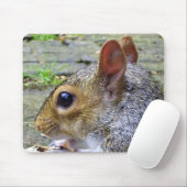 リス マウスパッド (マウス)