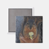 リス マグネット (正面/裏面)