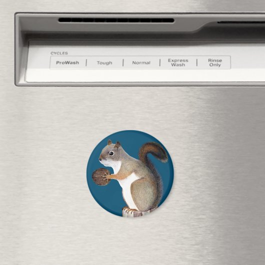 リス マグネット (インサイチュ (食洗機))