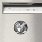 リス マグネット (インサイチュ (食洗機))