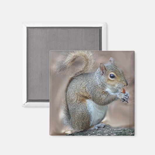 リス マグネット (正面/裏面)