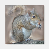 リス マグネット (正面)