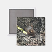 リス マグネット (正面/裏面)