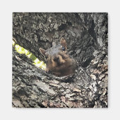 リス マグネット (正面)