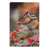 リス ミニクリップボード (裏面)