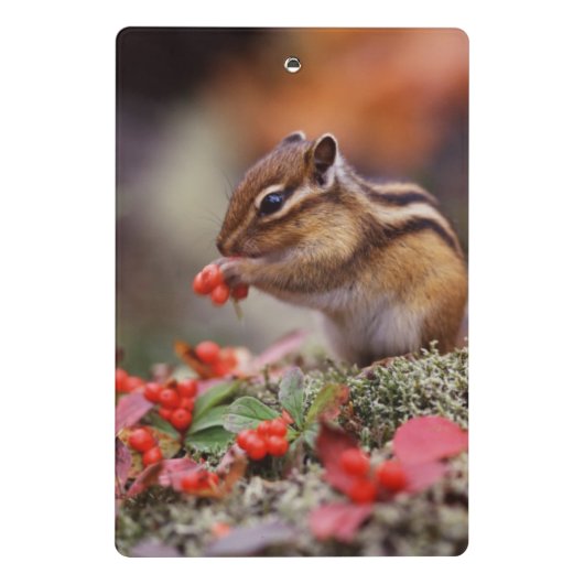 リス ミニクリップボード (裏面)