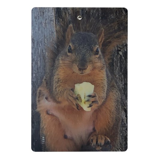 リス ミニクリップボード (裏面)