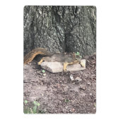 リス ミニクリップボード (裏面)