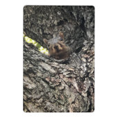 リス ミニクリップボード (裏面)