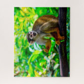 リス・モンキー。 ジグソーパズル (縦)