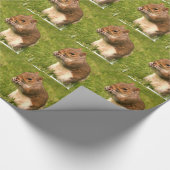 リス ラッピングペーパー (角)