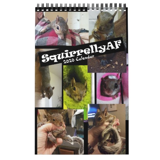 リス·リハブ| SpyrellyAF 2020壁カレンダー カレンダー (カバー)