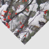 リス・レッド・ベリー・スノー・ツリーの写真 薄葉紙 (詳細)