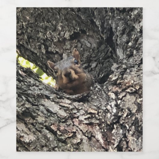 リス ワインラベル (シングルラベル)