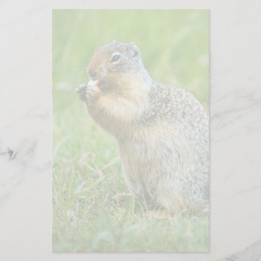 リス 便箋 (正面)