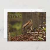 リス – 信頼 ポストカード (正面/裏面)