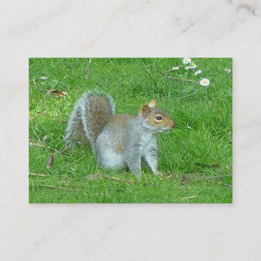 リス 名刺 (正面)