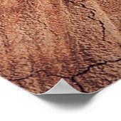 リス – 木材 ポスター (角)