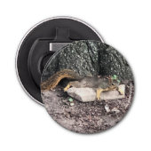 リス 栓抜き (正面)