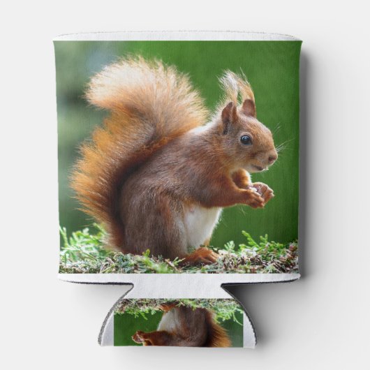 リス 缶クーラー (裏面)