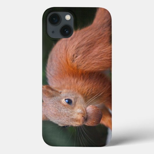 リス 赤ちゃん ナッツ iPadケース Case-Mate iPhoneケース (裏面)