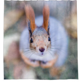 リス – 食べたいもの シャワーカーテン