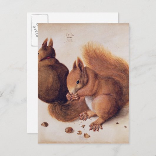 リス， 1512 ポストカード (正面/裏面)