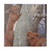 リス (Sciurus vulgaris) タイル (正面)