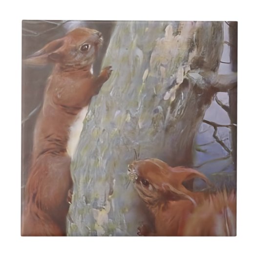リス (Sciurus vulgaris) タイル (正面)
