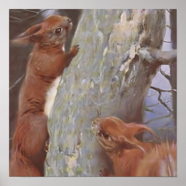 リス (Sciurus vulgaris) ポスター