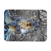 リスFlexiマグネット3 x 4 マグネット (横)