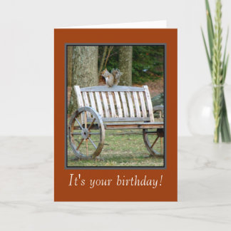 リスn Nutのバースデー・カード カード