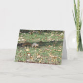 リスNotecard カード (裏面)