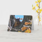 リスNotecard カード (黄色い花)