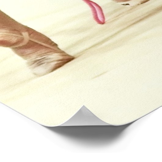 リズム体操の ポスター (角)