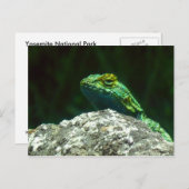 リズ ポストカード (正面/裏面)